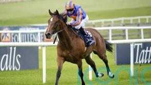 Lake Victoria back to her brilliant best in Irish 1,000 Guineas