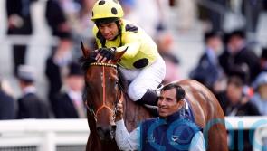 Bring it on &ndash; Hannon counting down to Ascot with Rosallion