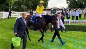 Almaqam makes most of Brigadier Gerard opportunity