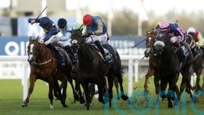 Kind Of Blue set for seasonal return at Chantilly on Sunday
