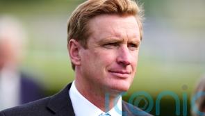 York Eyecatcher Do Or Do Not one to keep onside