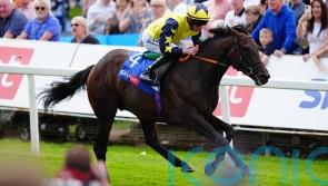 Clover favouring York for Tabletalk&rsquo;s next date