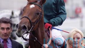 Fallon expecting big performance from Desert Flower