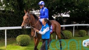 Elwateen backed to shine again after Oaks disappointment