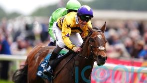 Goldie sweet on Ascot aim for American Affair