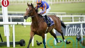 Lake Victoria ruled out of Royal Ascot