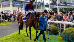 Tennessee Stud and Lambourn could have second Classic clash