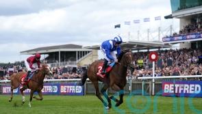 Connections opt to miss French Oaks with Falakeyah