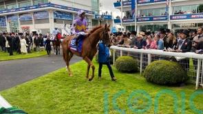 Beckett can see merit in coming back in trip with Stanhope Gardens