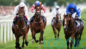 &lsquo;Big run&rsquo; expected from Absurde on York return