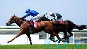 Saba Desert catches the eye with winning start at Sandown