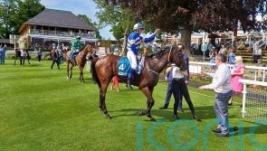 York Eyecatcher See That Storm remains on the upgrade