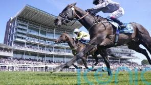 Burke backing Night Raider to make his mark in King Charles speed test