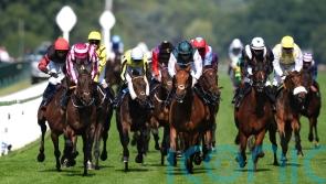 Ascot Eyecatcher Reaching High will get his day in the sun