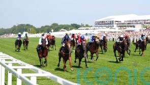 Ascot Eyecatcher Cajole will make persuasive case next time