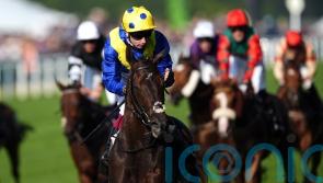 Provisional plans outlined for Never So Brave and More Thunder