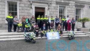 Little Blue Heroes welcomed to Leinster House