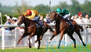 Summer break for Zarigana before plans for rest of the year are made