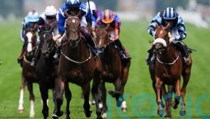 Options aplenty for impressive Albany heroine Venetian Sun