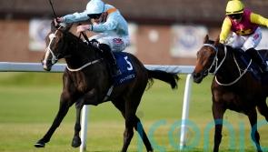 Empress date looms for unbeaten Anthelia