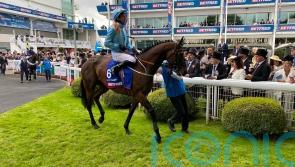 Lazy Griff all set for a third crack at Lambourn in Irish Derby