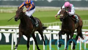 Whirl denies Kalpana in pulsating Pretty Polly Stakes