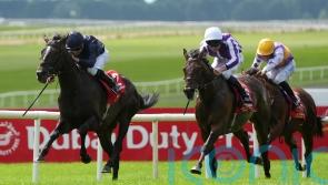 Lambourn toughs it out to land Derby double