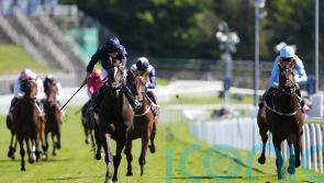 Lazy Griff not guaranteed to run again before Leger bid