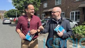 Fine Gael&rsquo;s Ray McAdam elected as Dublin mayor