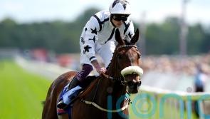 New Beverley race seen as a good fit for Al Qareem