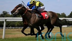 Staya swoops late for Dragon Stakes prize