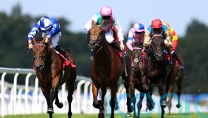 Windlord edges Gala glory in tight Sandown finish