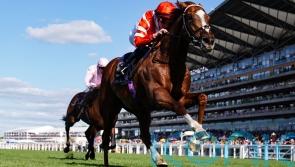 Charlton expects York trip to suit Hand Of God