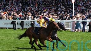 Goldie focusing on Breeders&rsquo; Cup date with American Affair