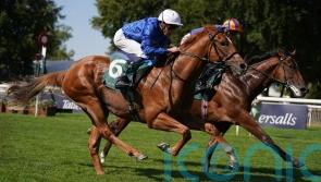 Big-money buy Distant Storm delivers on debut at Newmarket