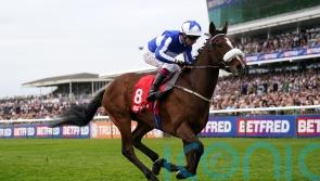 Fox Legacy too smart in John Smith&rsquo;s Cup