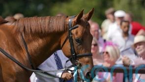 Saba Desert swoops for Superlative strike