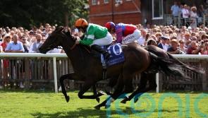 No Half Measures stuns July Cup rivals