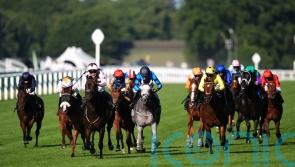 Super Sprint temptation for Johnson Houghton with Havana Hurricane