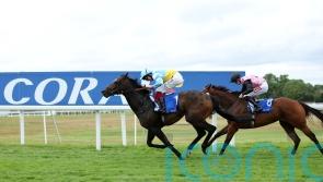 Portman hoping to make Rum point at the Curragh