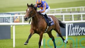 O&rsquo;Brien: Lake Victoria future not certain