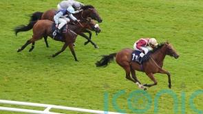 Rage Of Bamby is 33-1 winner of Hackwood Stakes