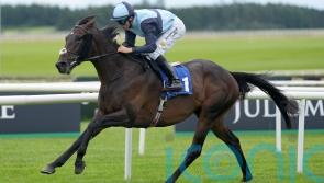 Al Riffa makes class count with stylish Curragh Cup win