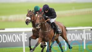 One Look is all it takes for Twomey filly to star at the Curragh