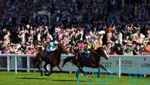 Goodwood and Deauville under consideration for My Cloud