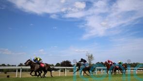 Scott confident Staya can go the distance at Ascot