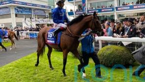 Tornado goes down a storm in Munich