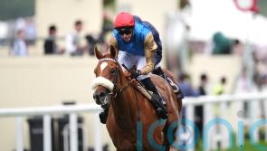 Humidity coming to the boil for hot-looking Vintage Stakes