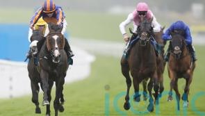 Scandinavia sees off Illinois for Ballydoyle one-two in Goodwood Cup
