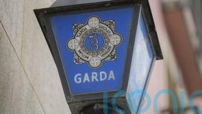 Political leaders condemn &lsquo;appalling&rsquo; attack on young garda in Dublin